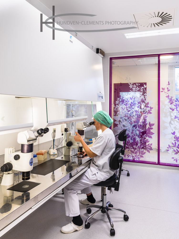 IVF Centre Novum, Stockholm, Sweden, Link Arkitektur AS