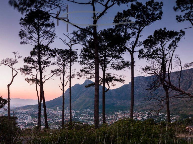 04_B0001446_HUNDVEN-CLEMENTS_PHOTOGRAPHY