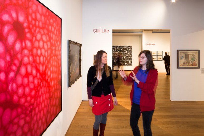 Towner Gallery, Eastbourne, Rick Mather Architects