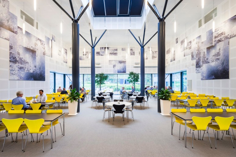 Introducing organic structural elements really humanise this canteen.