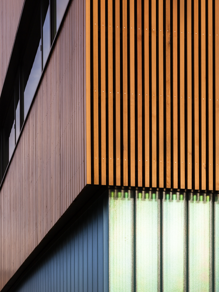 Detail of wood cladding and glass wall